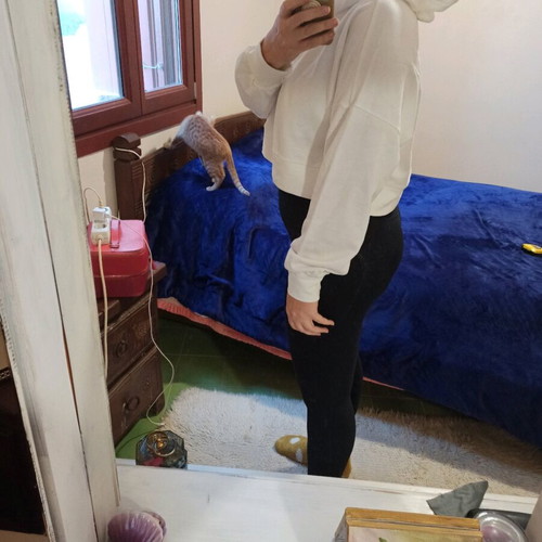MyMo Crop Hoodie White New, Size XXL