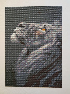 Diamond Art lion looking at the sky