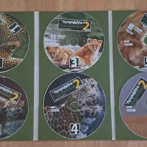 DVD The Big Cat Diary Part 2 like new