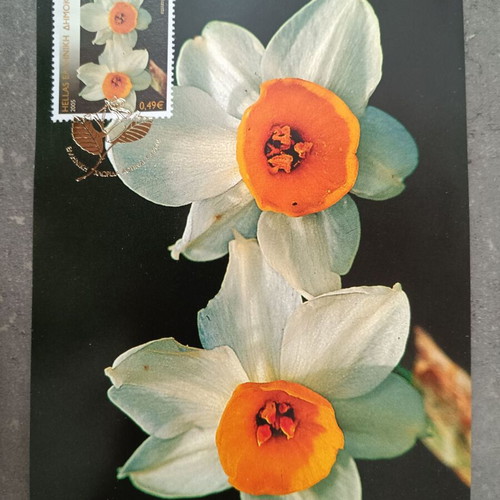 Greek flora 2005 complete stamp series on maximum cards new