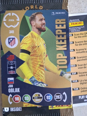 World Cup Panini Sticker No 341 Top Keeper new