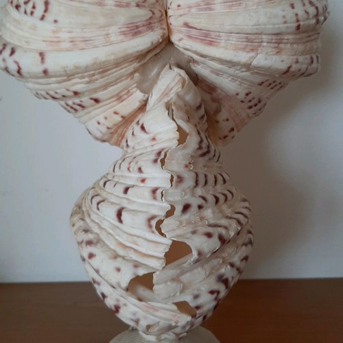 Decorative owl figurine made of large shells used