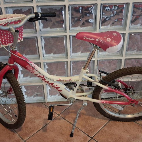 Probike Spring 20 Inch Girls' City Bike like new