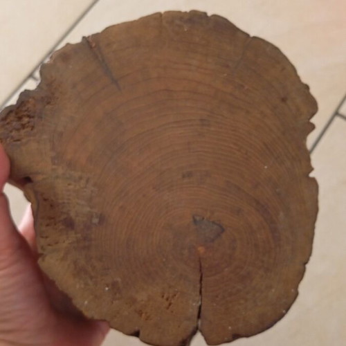 Wooden box like new from Mauritius, tree trunk