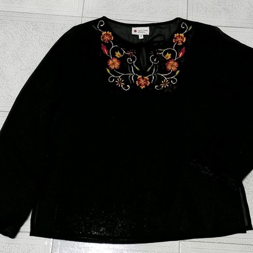 Sheer peasant top like new with embroidered velvet neck and cuffs