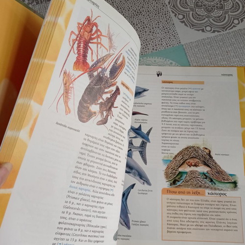 Great Children's Encyclopedia Animal Kingdom 1 used