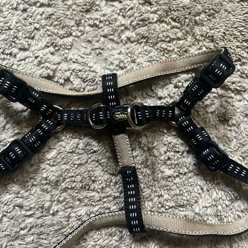 Nobby harness and leash set unused, Soft Grip Preno series