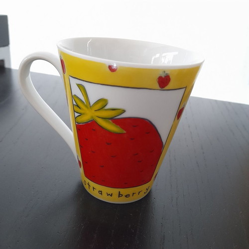 Papillon FINE Porcelain mug in excellent condition