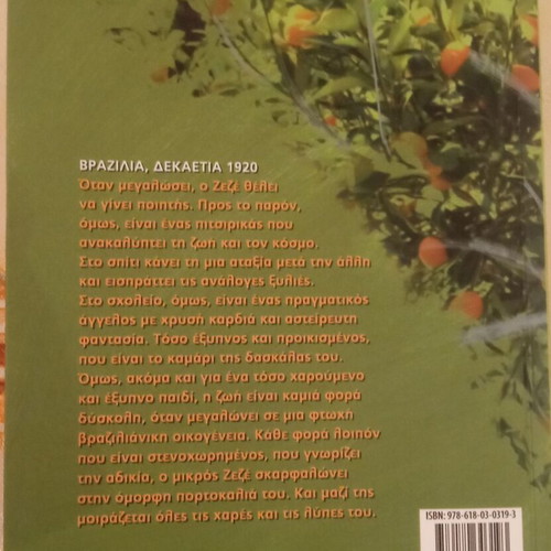 Beautiful Orange Tree My Like New