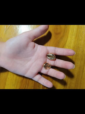 Handmade earrings with gold shells new