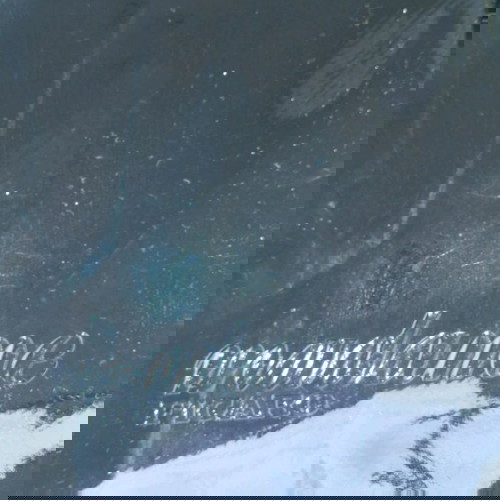 Несесер Madame Figaro с вътрешен прозрачен джоб, като нов