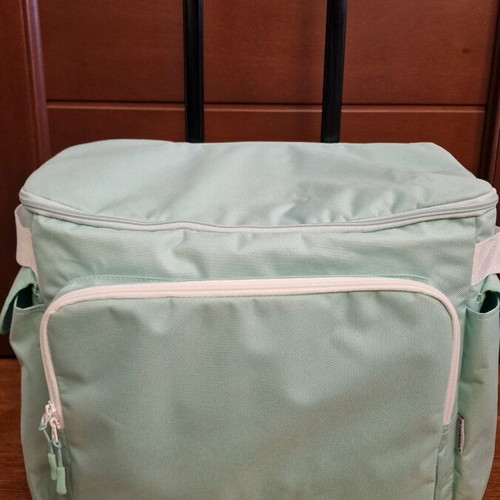 Sewing machine case or handbag like new