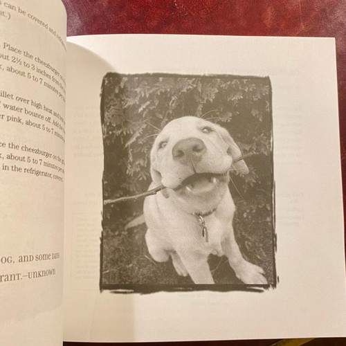 Throw me a bone dog cookbook used