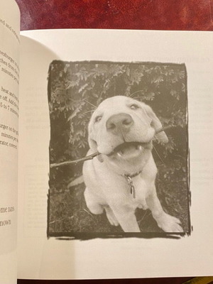 Throw me a bone dog cookbook used