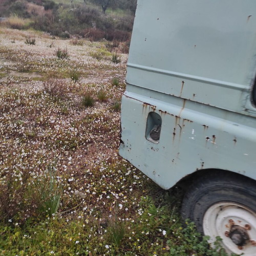 Land Rover Defender used 1983 manual 2250cc multipurpose farm vehicle