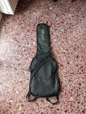 Ritter guitar case used, backpack style