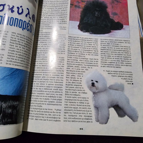 Vlemma magazine like new, issue 16 about dog training