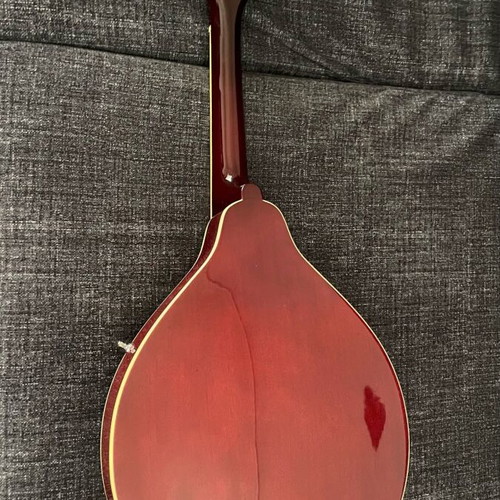 Cort flat mandolin like new with case