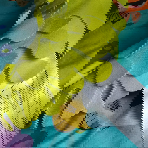 Disney Finding Nemo Baby Play Gym like new with lights and music