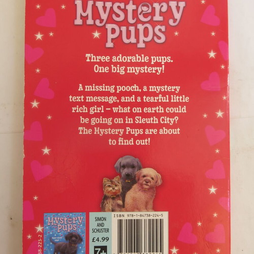 Mystery Pups - Dognapped! book used, in English