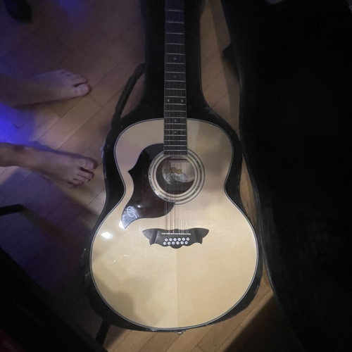 Washburn 12 String Acoustic Guitar New with Hard Case