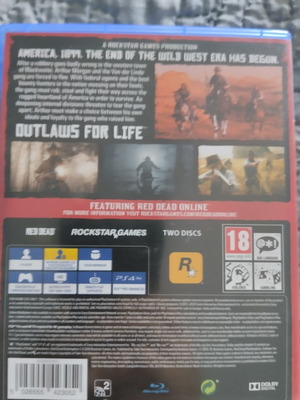 Red Dead Redemption 2 PS4 game