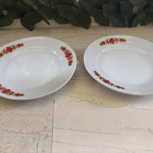 Vintage dinner plates with floral pattern, set of 2, 24 cm