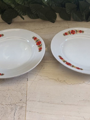 Vintage dinner plates with floral pattern, set of 2, 24 cm