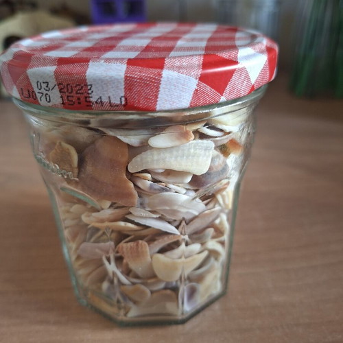Vase with seashells new, decorative or craft use