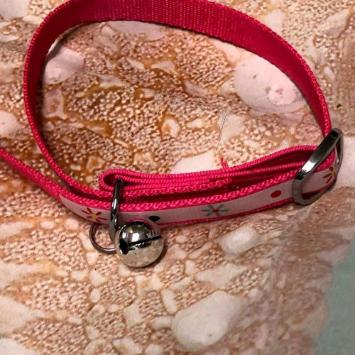 Cat collar new, suitable for all breeds and sizes