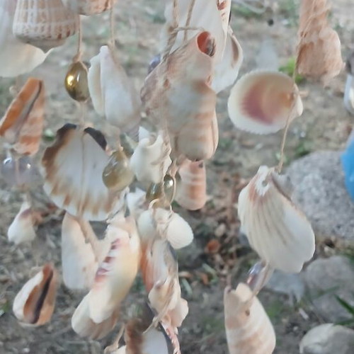 Melodos hanging decoration with real seashells