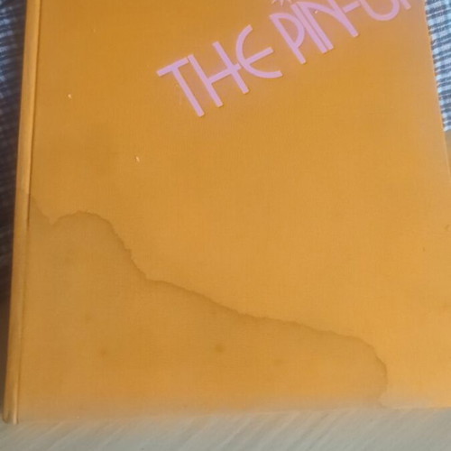 The Pin-Up 1974 book used, with cover stain