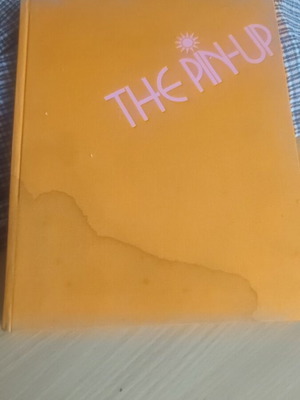 The Pin-Up 1974 book used, with cover stain