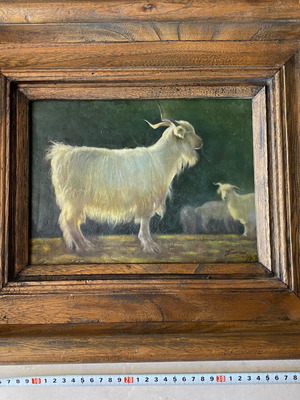 Oil painting of a goat used, realistic portrait