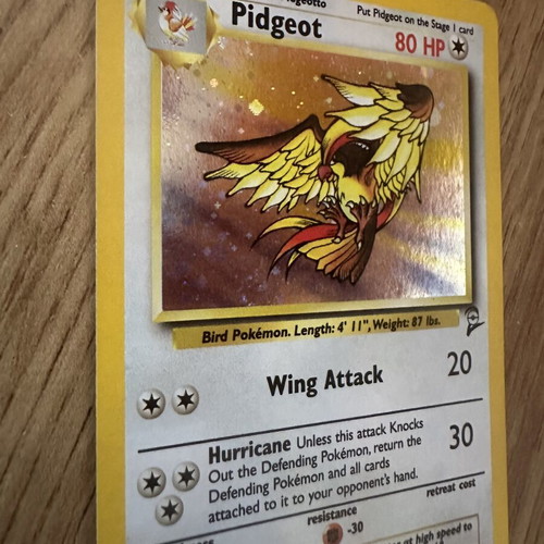 Pidgeot Holo Jungle Pokémon Card used, vintage
