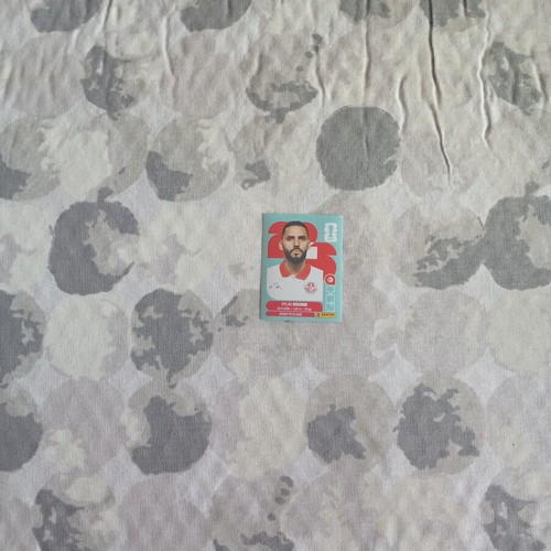 FIFA World Cup 2026 Tunisia sticker