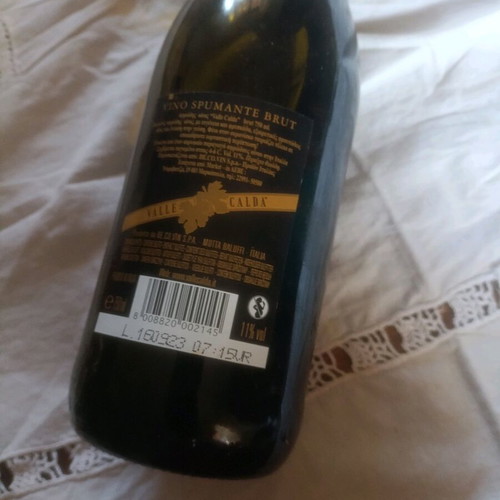 Sparkling wine new, only with Voch