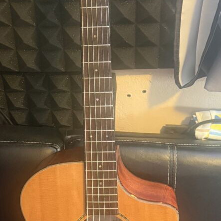 Breedlove electroacoustic guitar used with case
