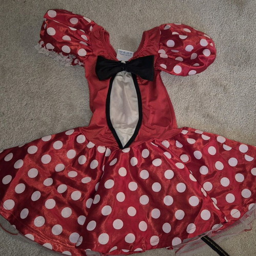 Mini Mouse carnival costume for girls 3 and 4 years like new