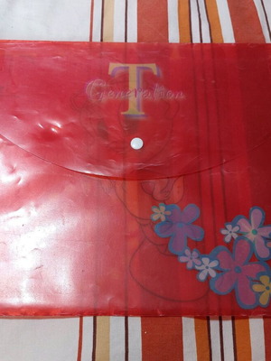 Folder with button A4 used, plastic Tweety