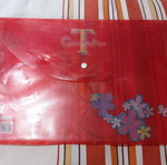 Folder with button A4 used, plastic Tweety