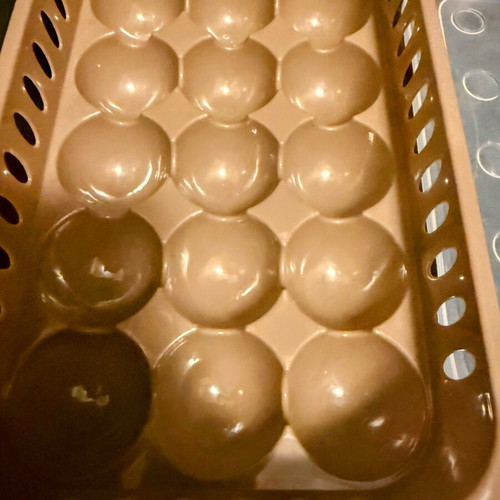 Egg Tupperware container new