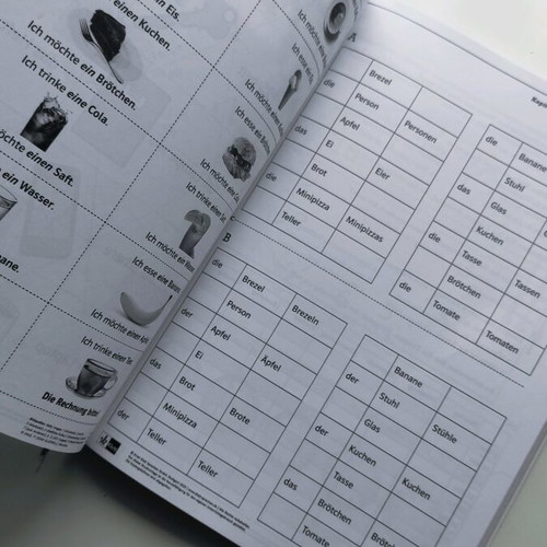 Die neue Linie 1 A1 Unterrichtshandbuch like new, German learning book for teachers