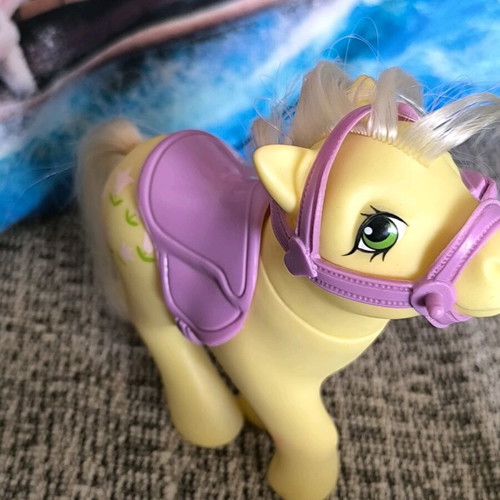 My Little Pony G1 '84 used with accessories