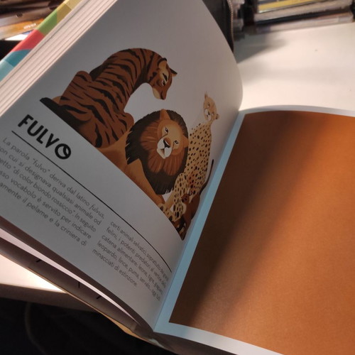 Colorama coffee table book like new, Italian edition 2017
