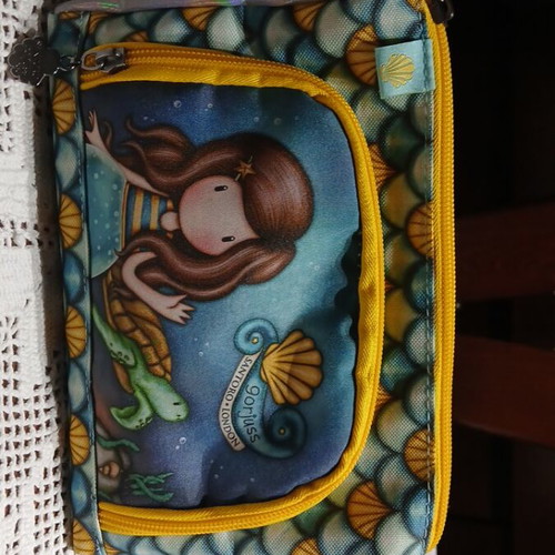 Santoro pencil case like new with two compartments