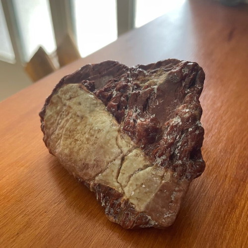 Conglomerate rock new with natural pebbles