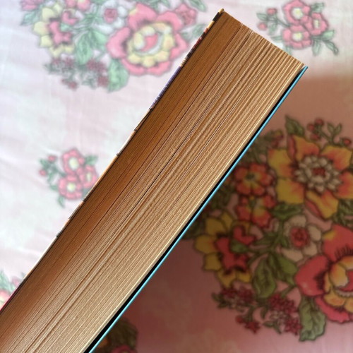 Book «The Want to Become a Writer» like new