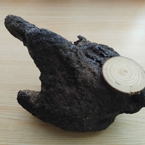 Handmade driftwood candlestick for tealight candle
