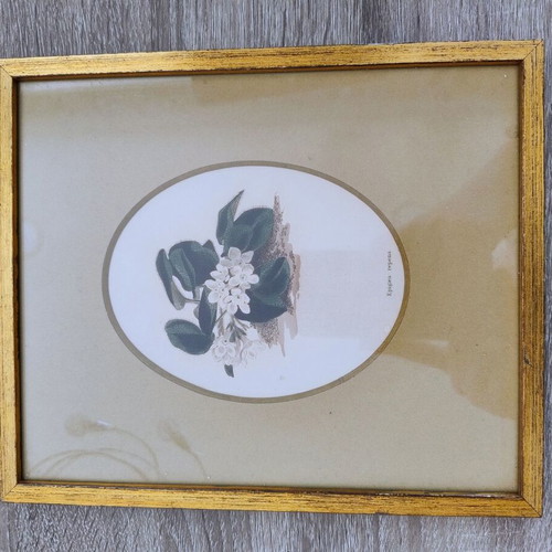 Antique original steel engraving art print mid-19th century like new